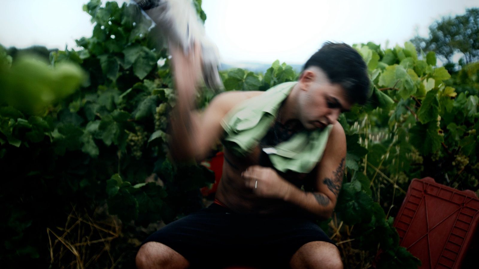 Pan y circo — fotograma 3