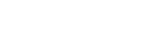 Bloomerang