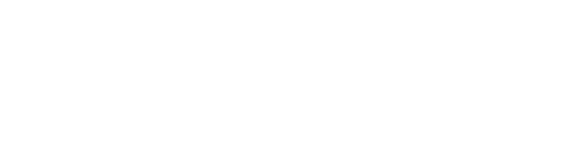 Fellow
