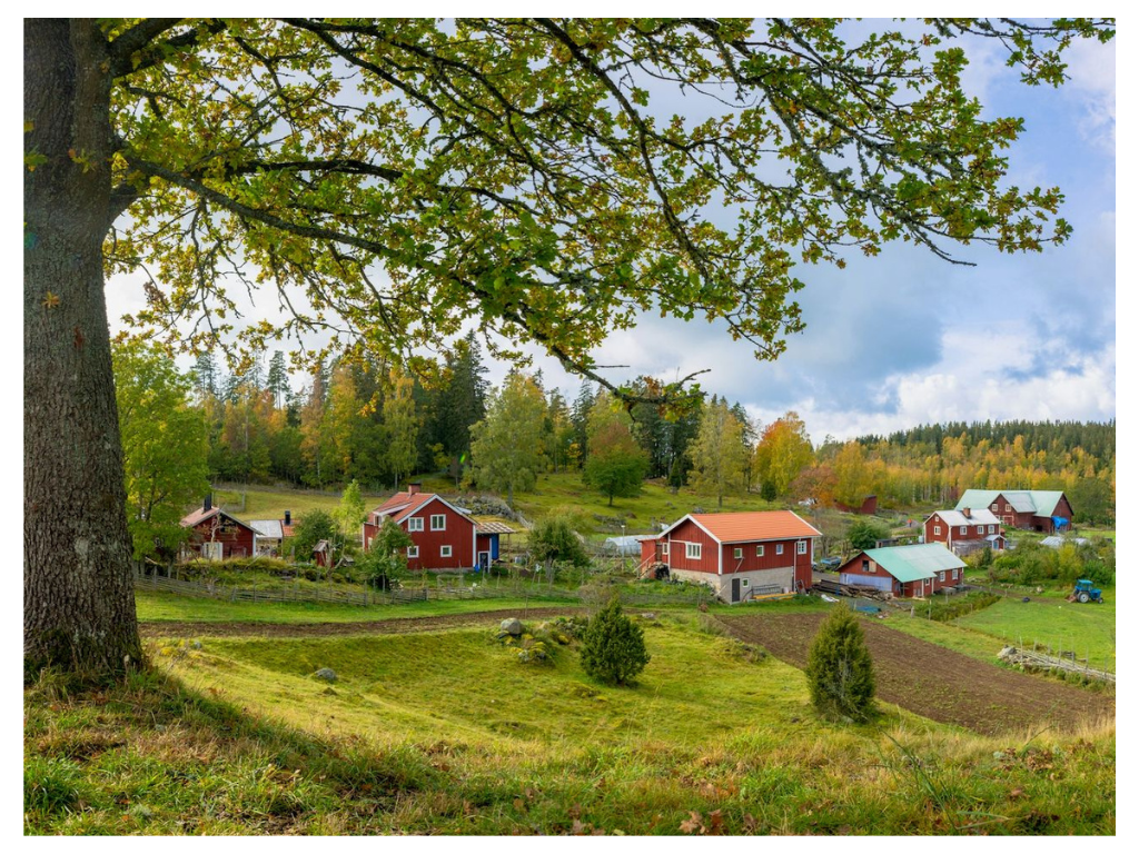 Bilde av en gård med fem røde byggninger, en åker i forgrunnen og en skog i bakgrunnen.