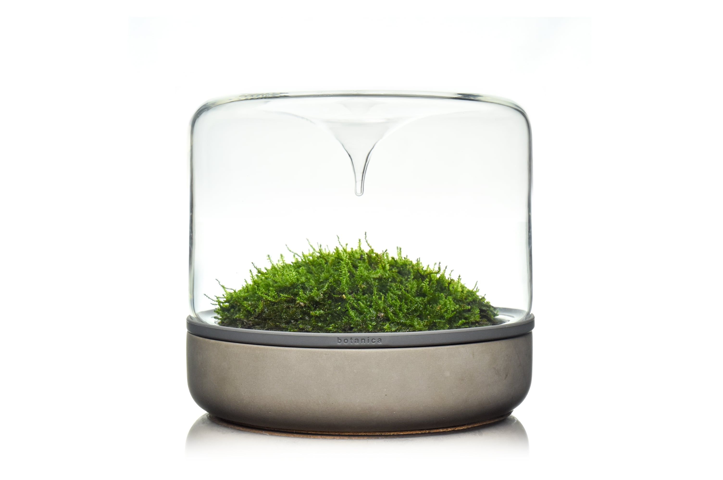 テラリウム コンクリート | JAU / JAPAN AUSTRALIA UNITED