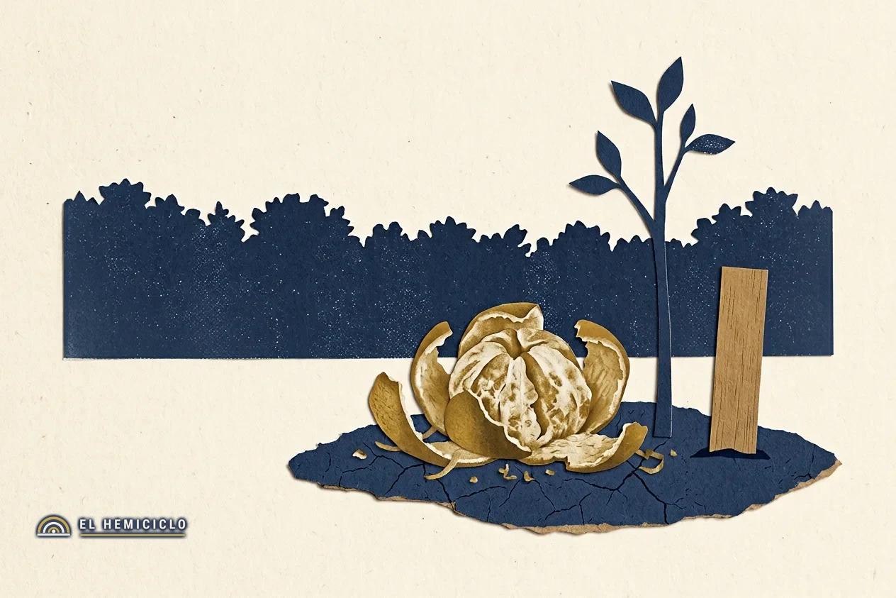 Ilustración de El Hemiciclo · la parcela de pastizal restaurada con cáscaras de naranja