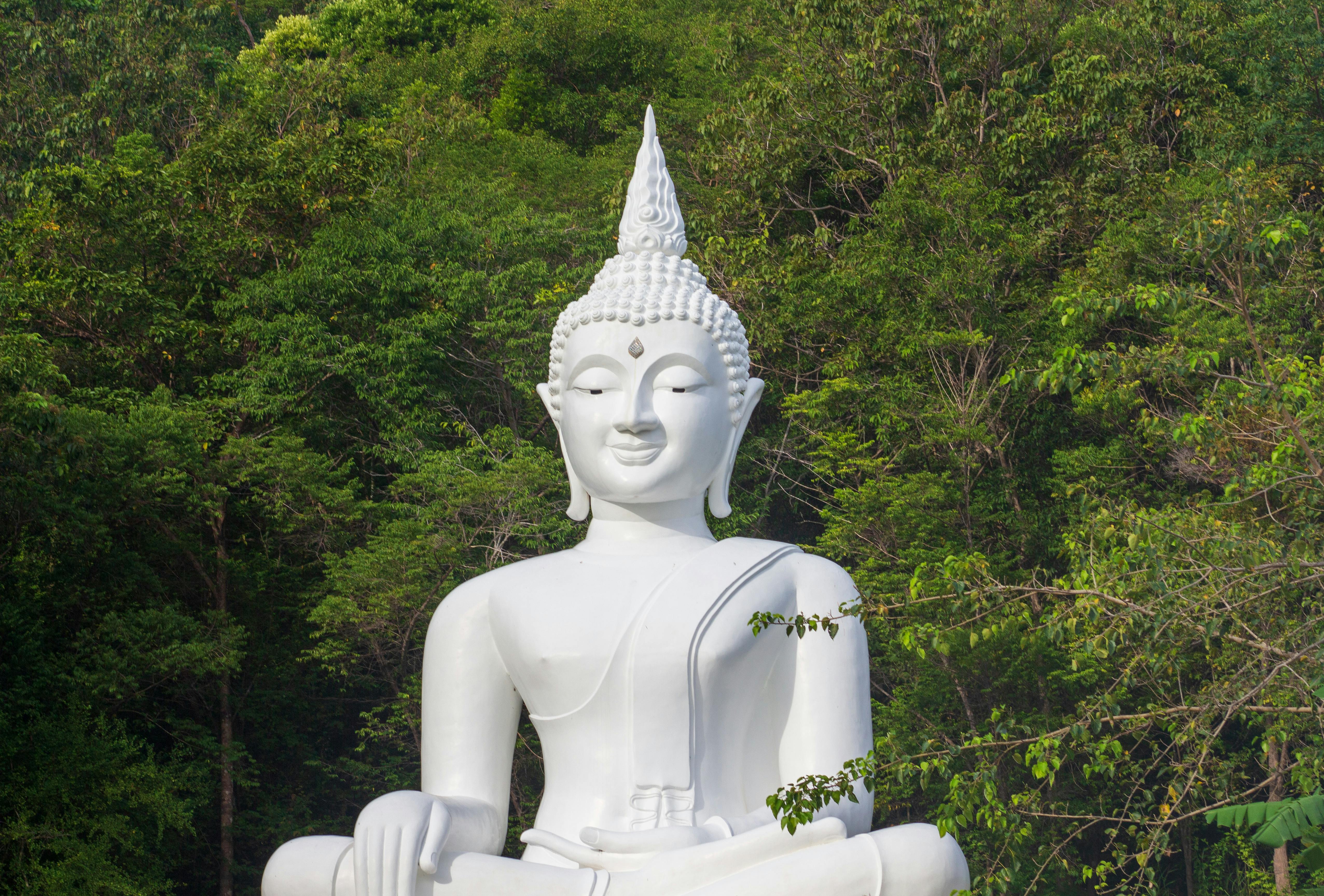 The Big Buddha Viewpoint