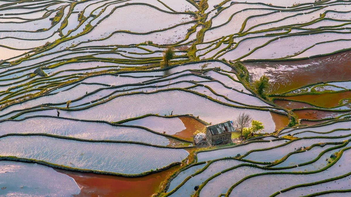 Yuanyang