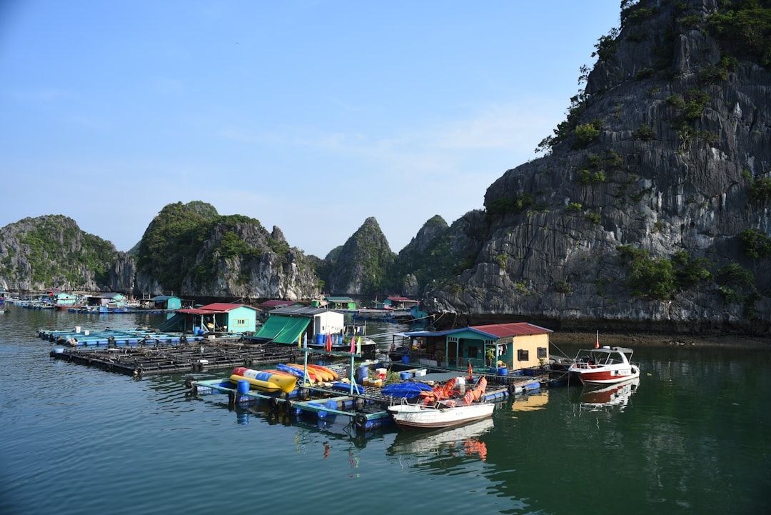Halong Transition