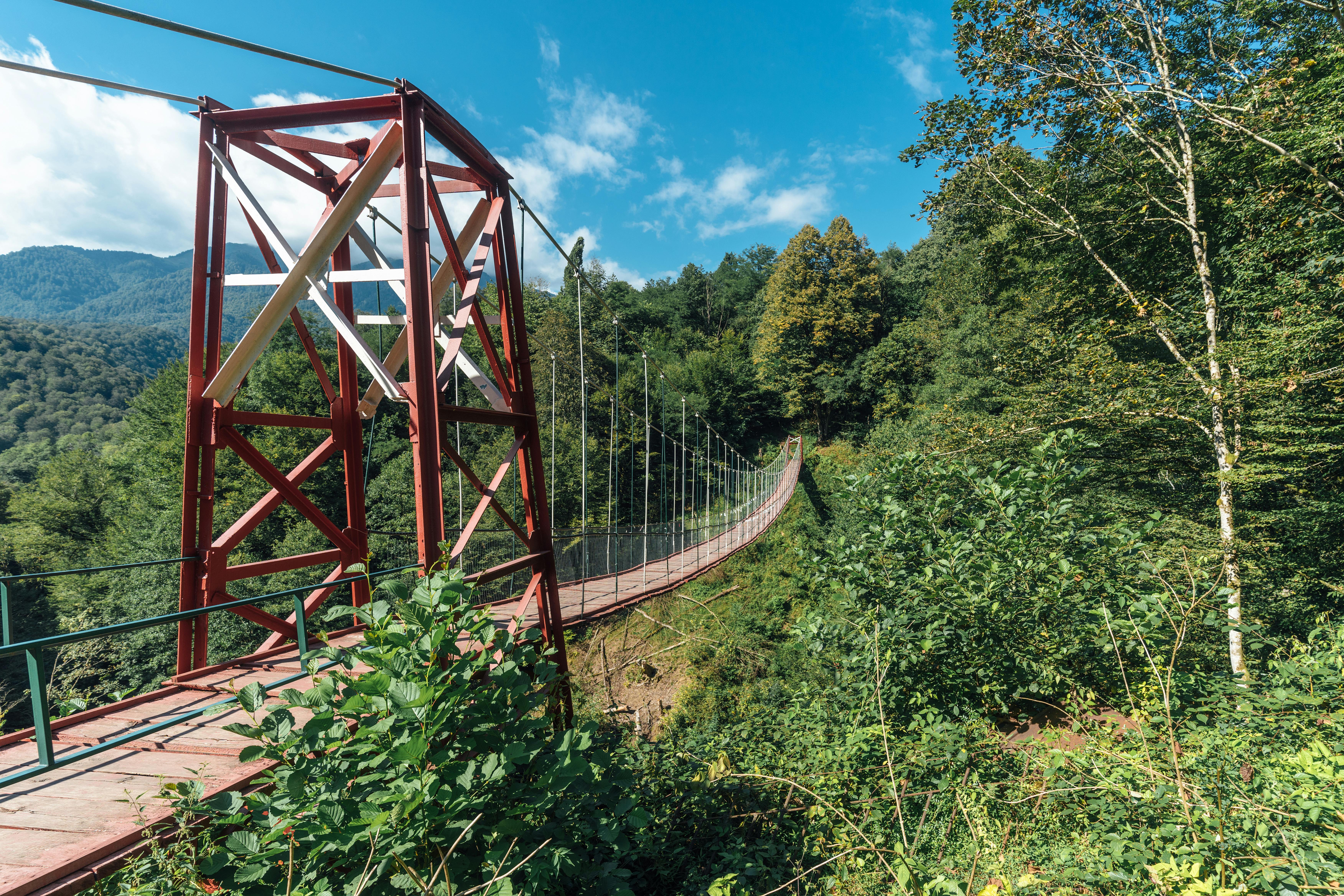 Suspension Bridge Walk