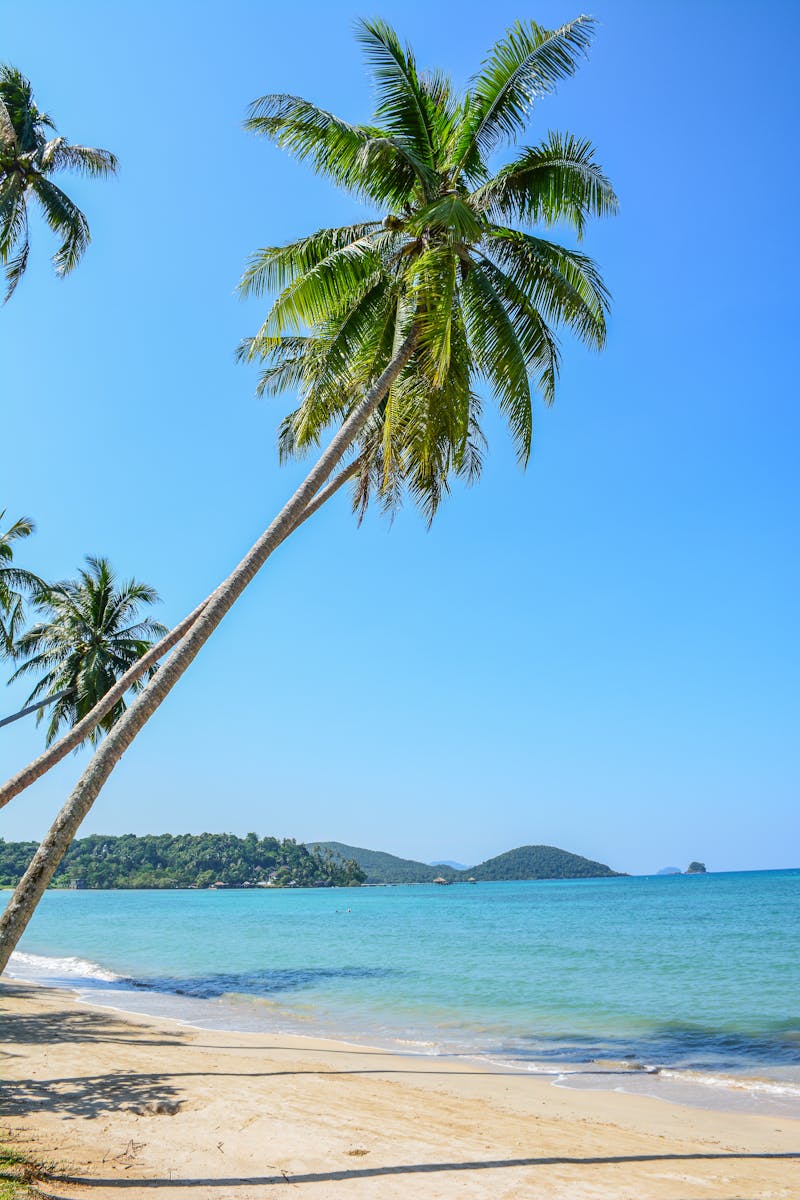 Thailand: Jungles to Andaman