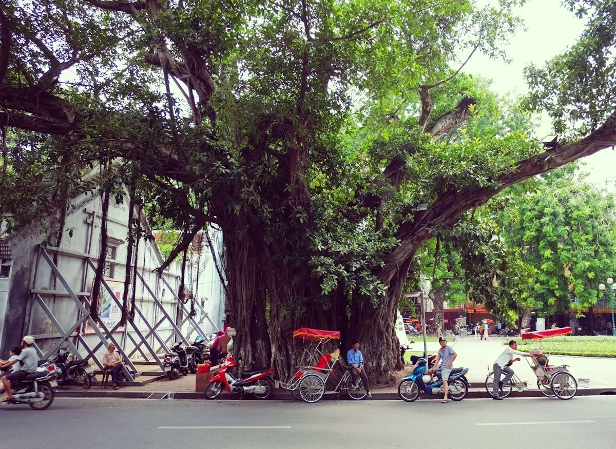 Vietnam: River Stories