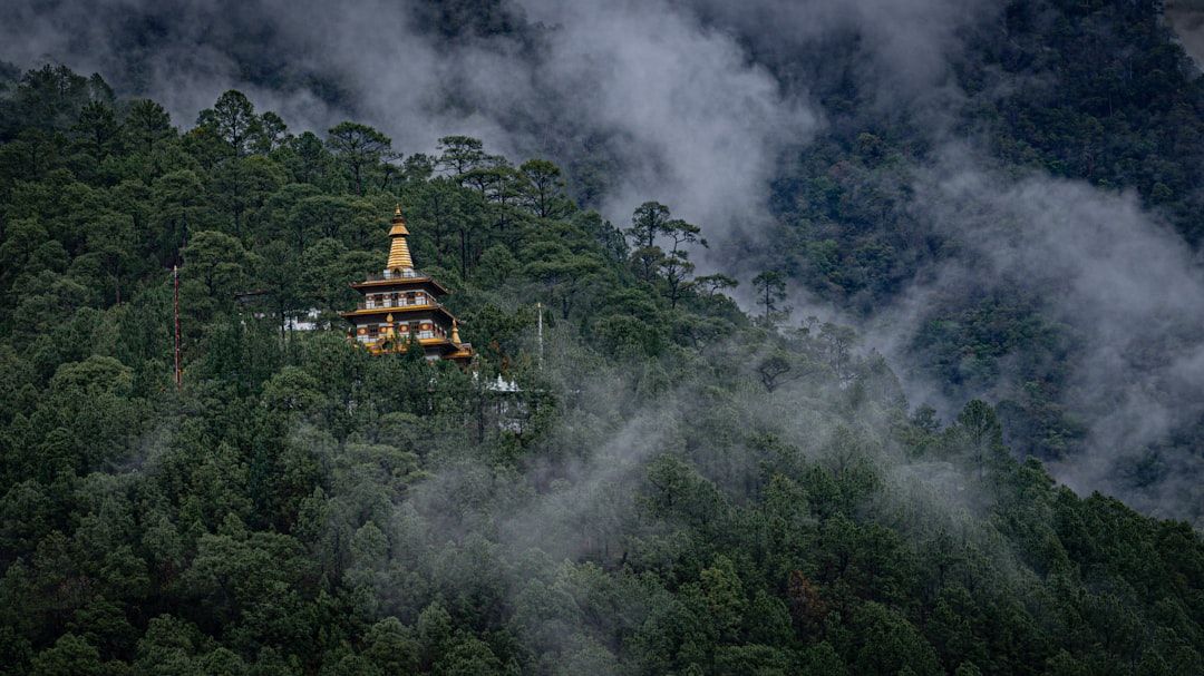Punakha Valley Life