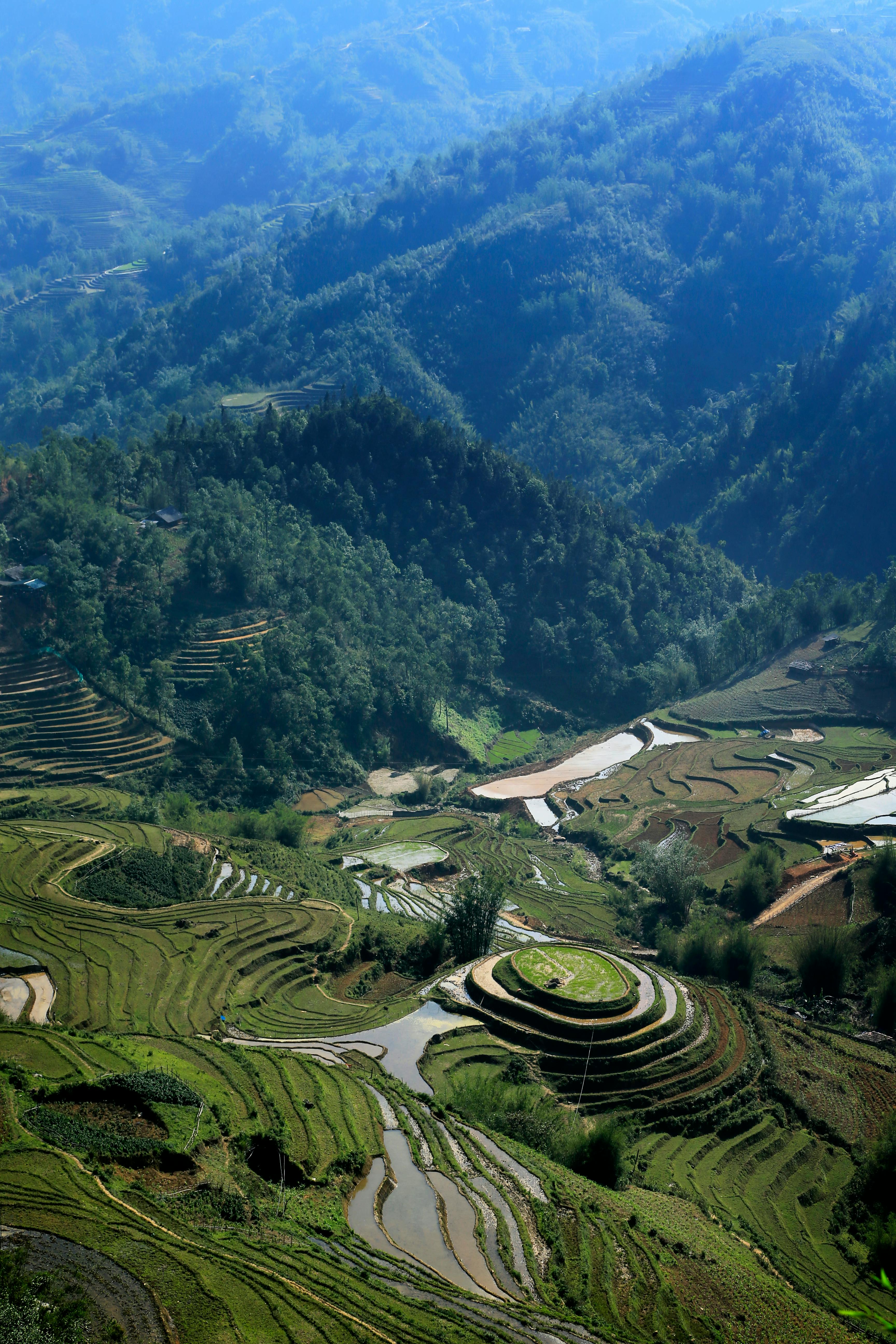 Yuanyang