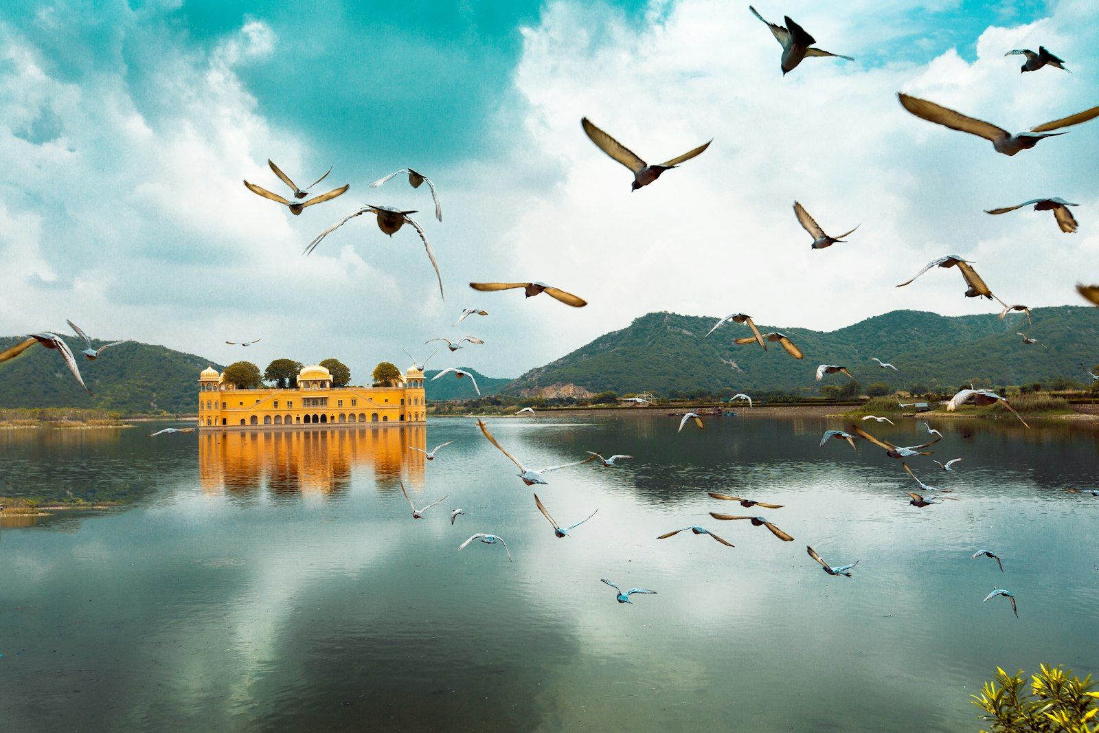 Jaipur Artisan Circle
