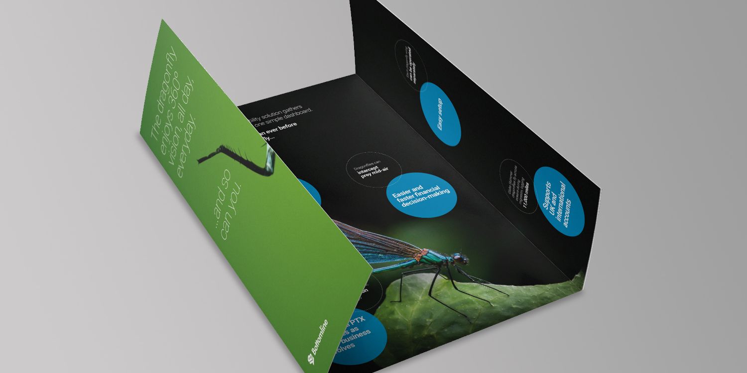 leaflet 2