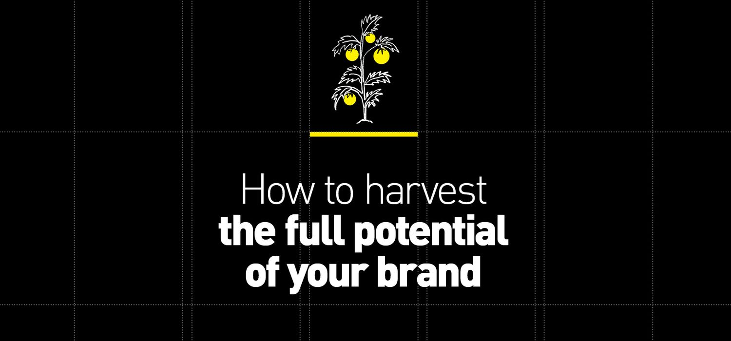 How to harvest the full potential of your brand