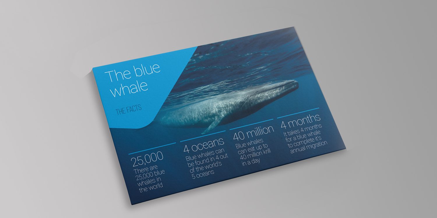 leaflet 3