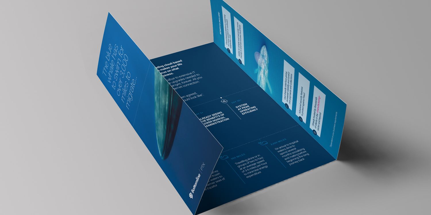 leaflet 4