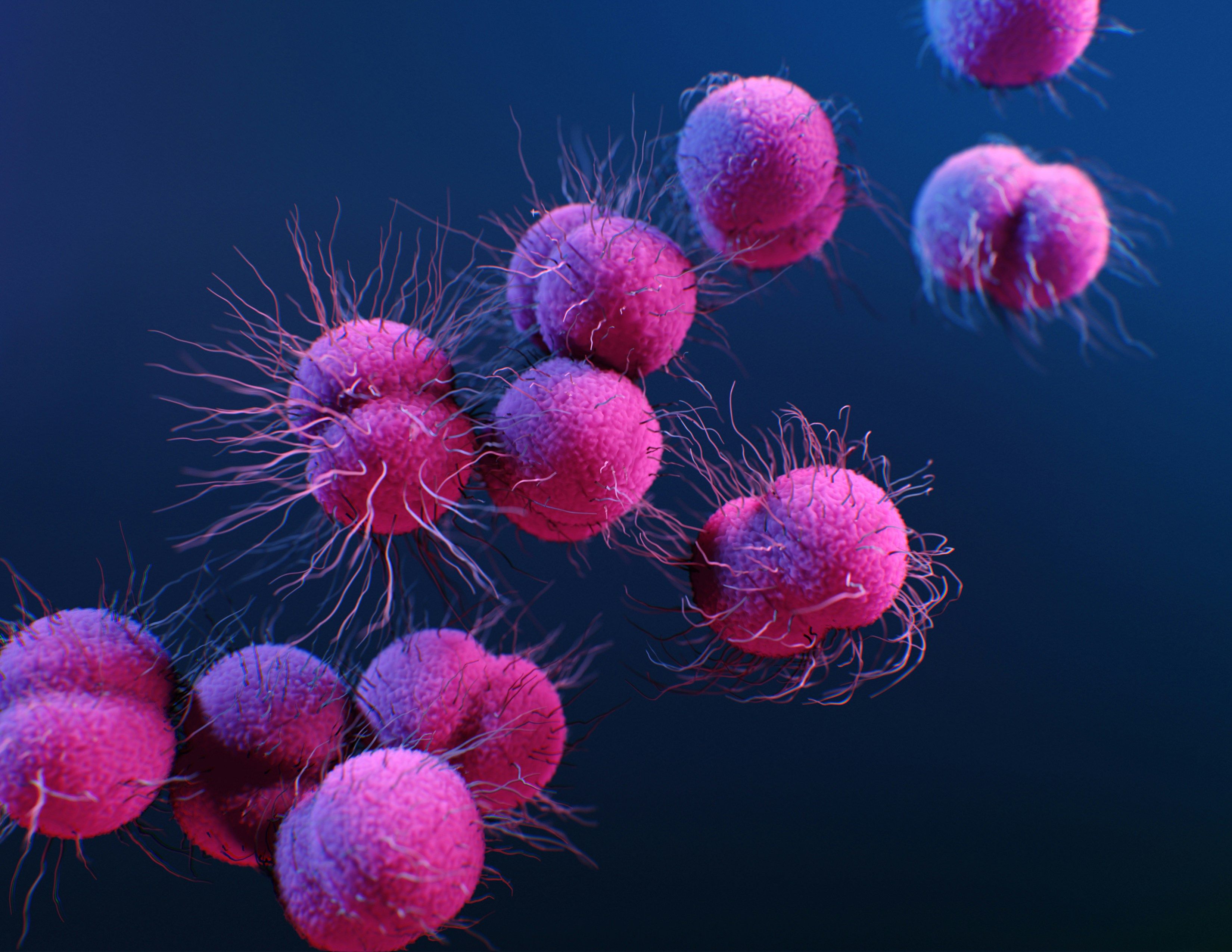 cancer cells