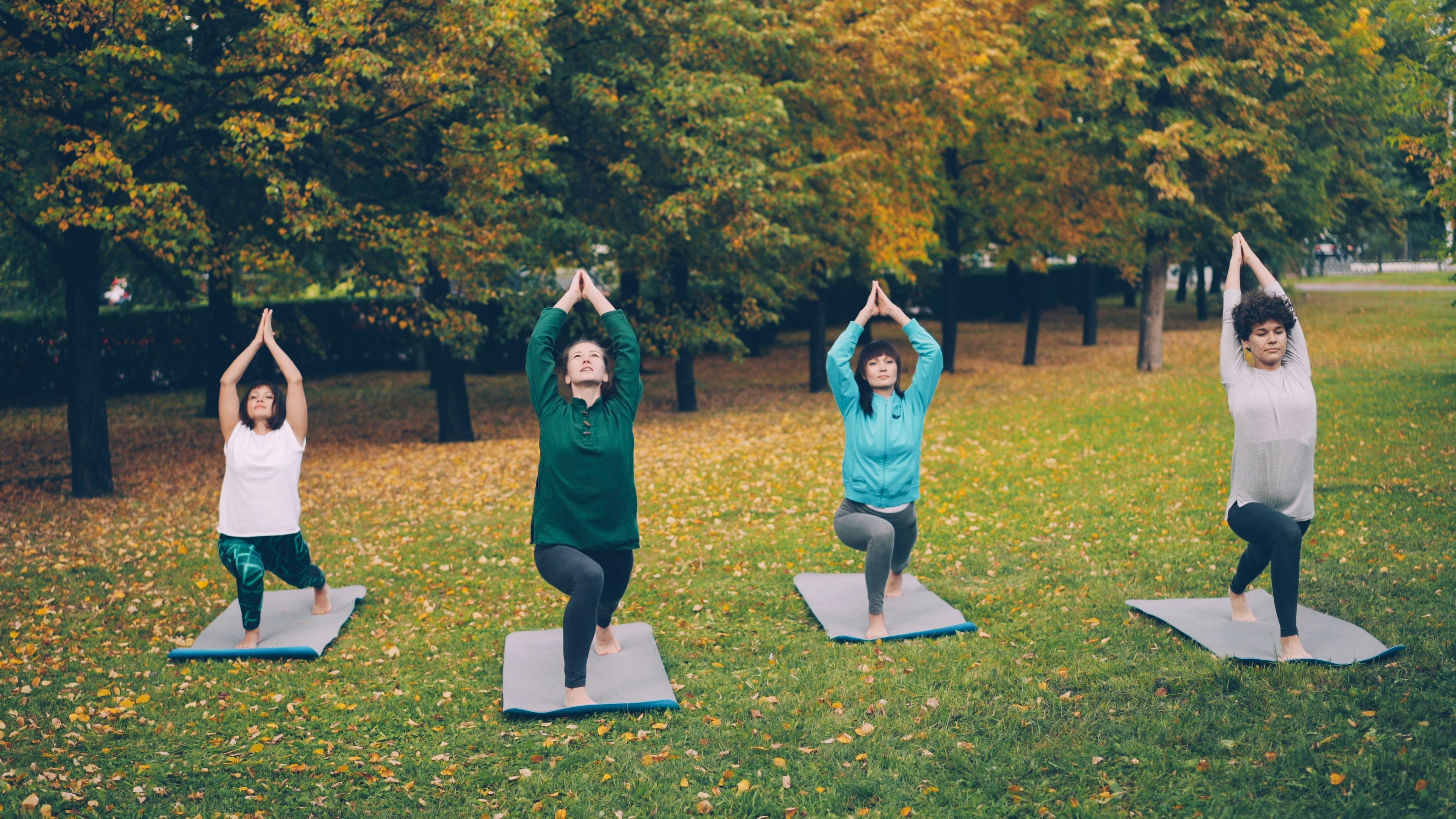 exercise in a park