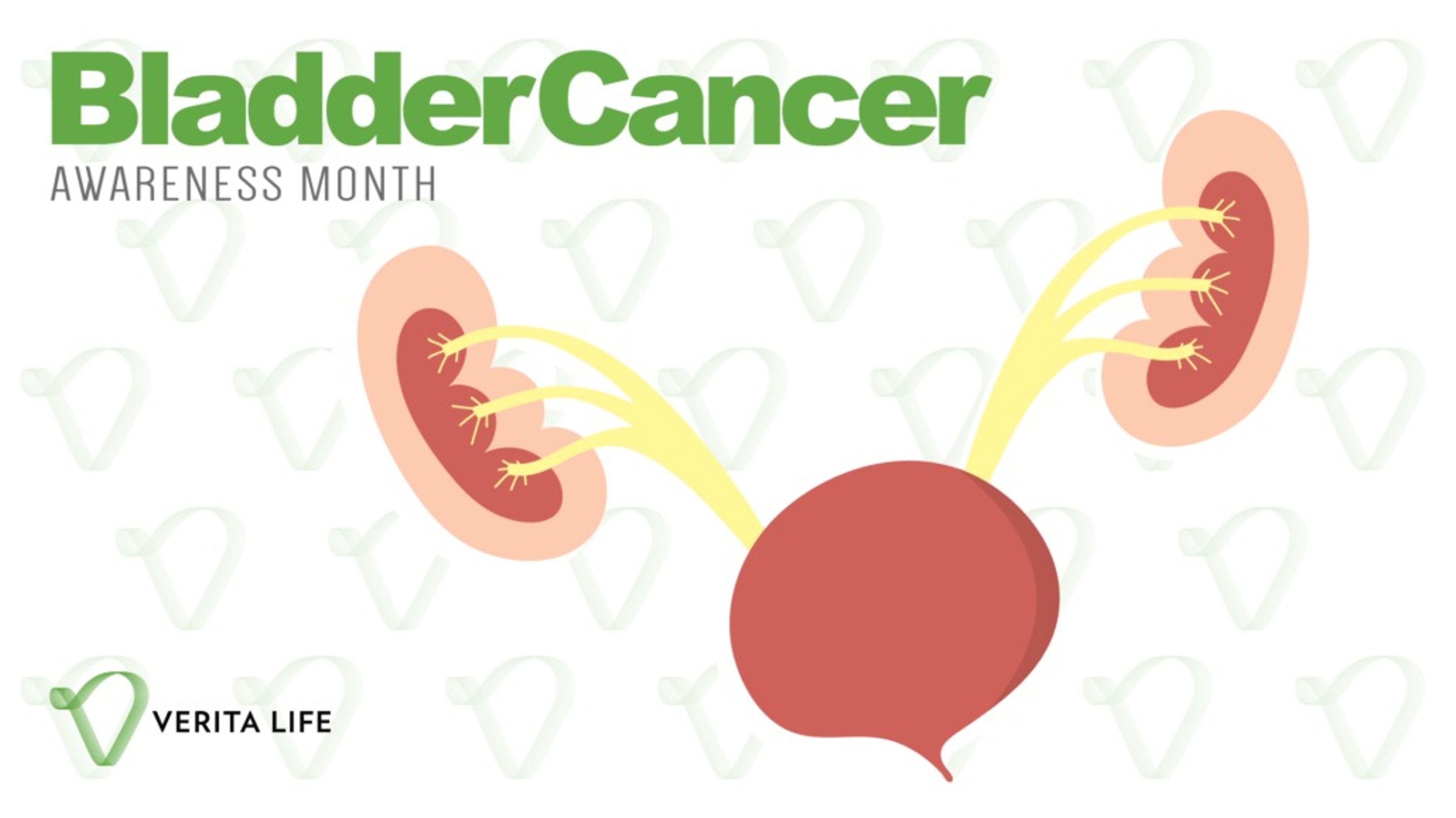 Bladder Cancer Awareness Month
