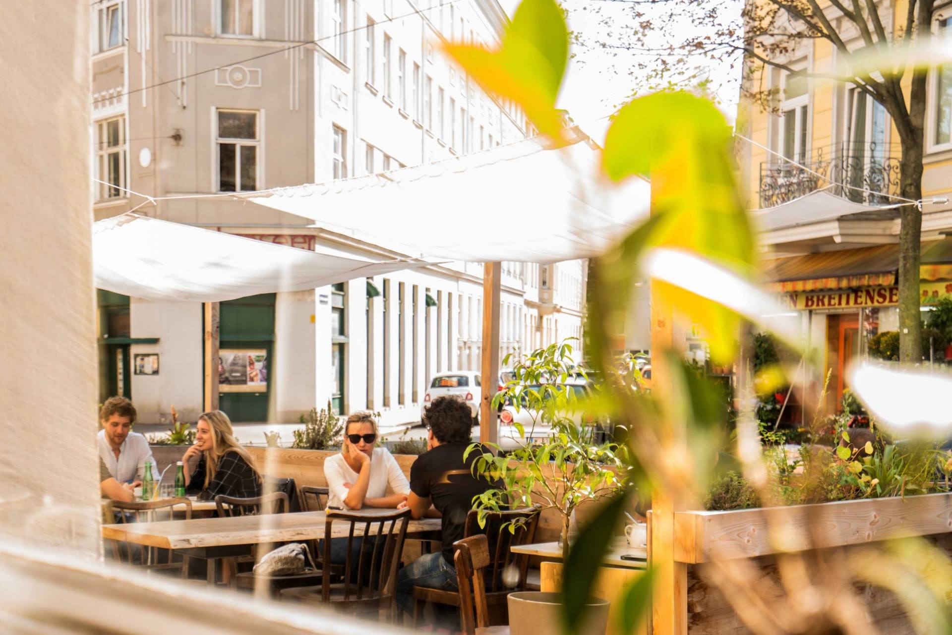 Colibri: Nachbarschaft