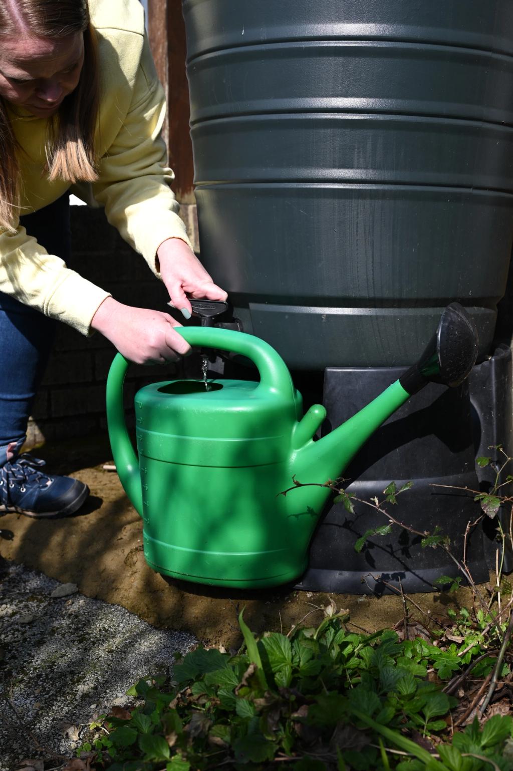 A person fills up a watering can from a water butt