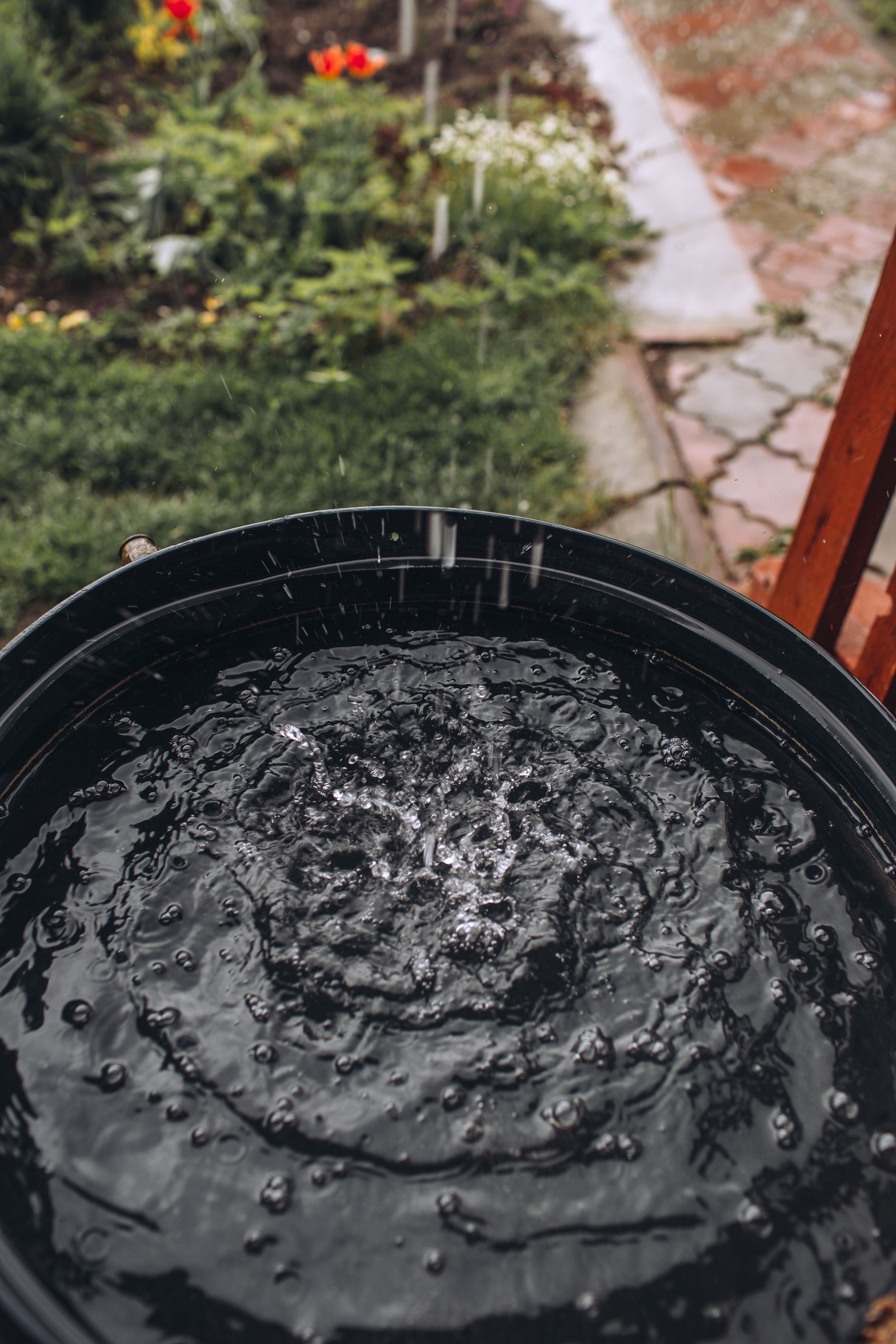 A full waterbutt in a garden being topped up by rainwater