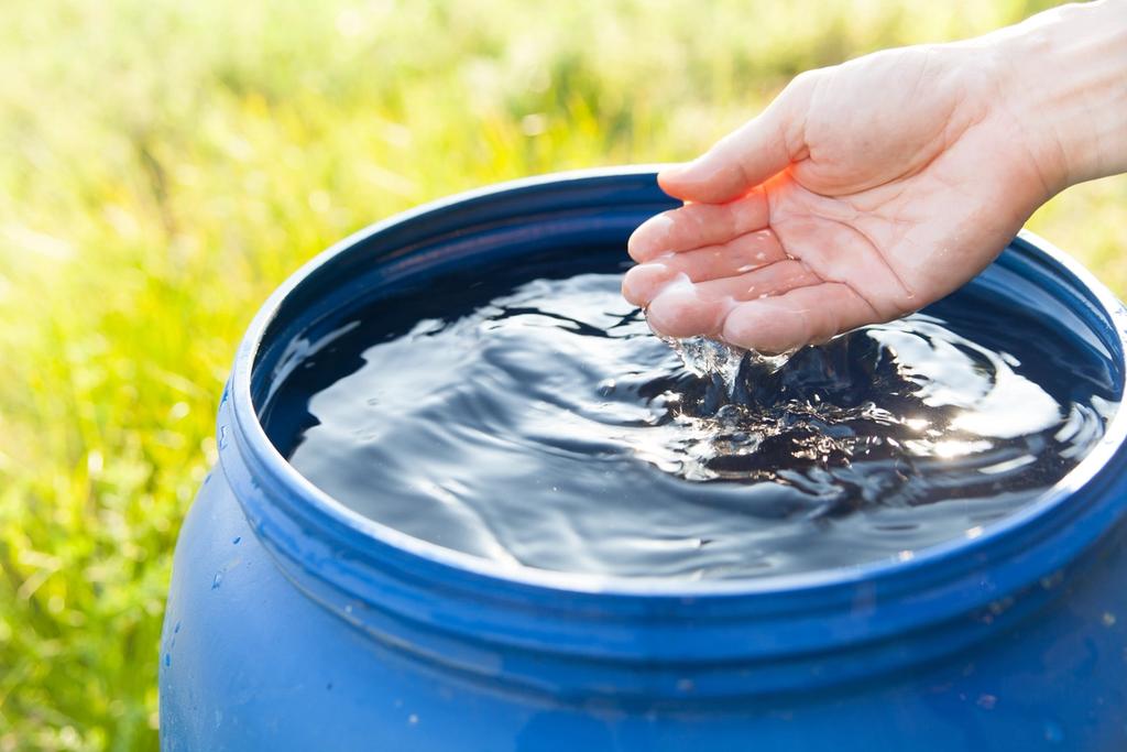 A hand scoops up water collected in a water butt