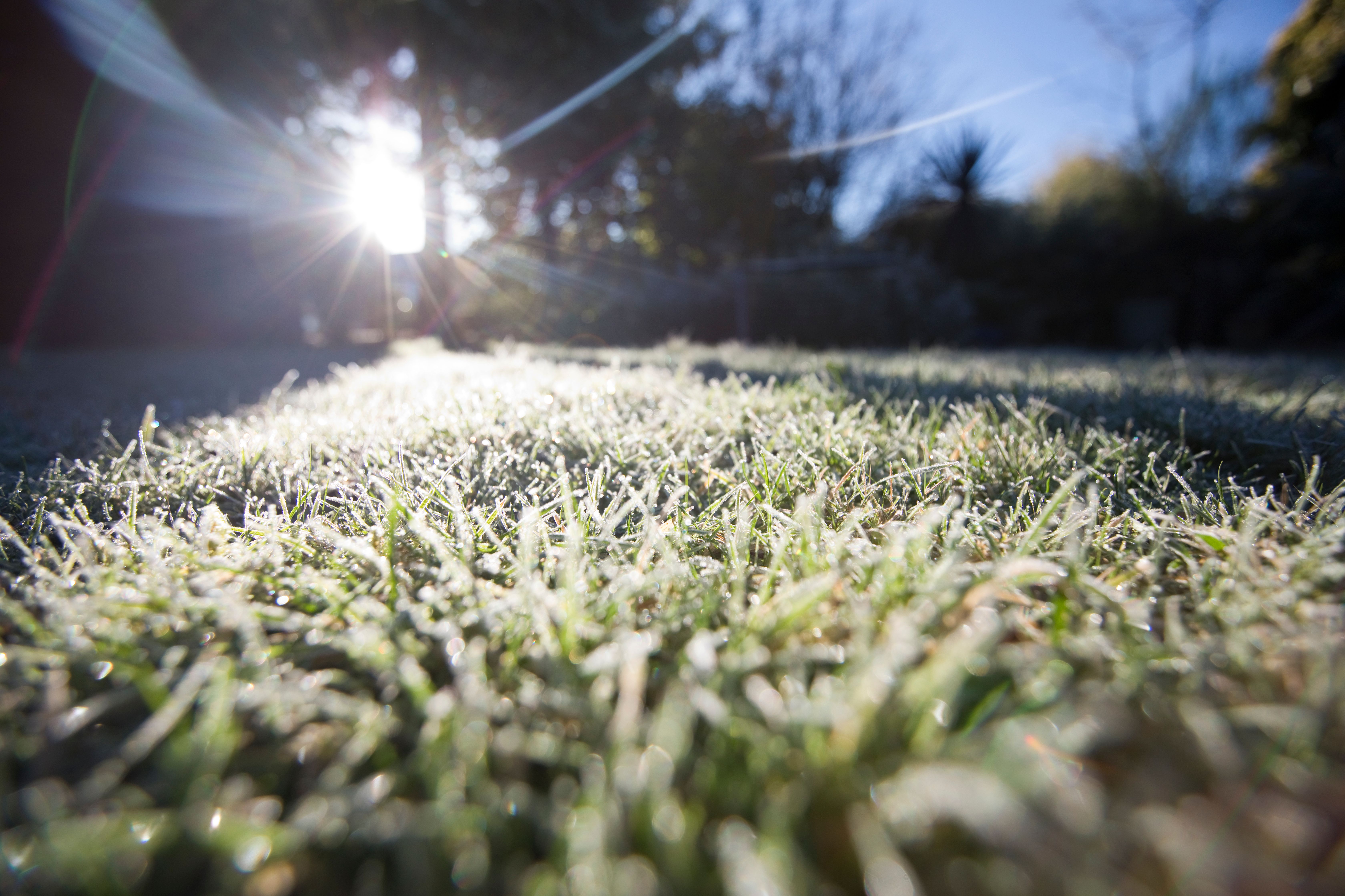 Photo of frost on a grass field