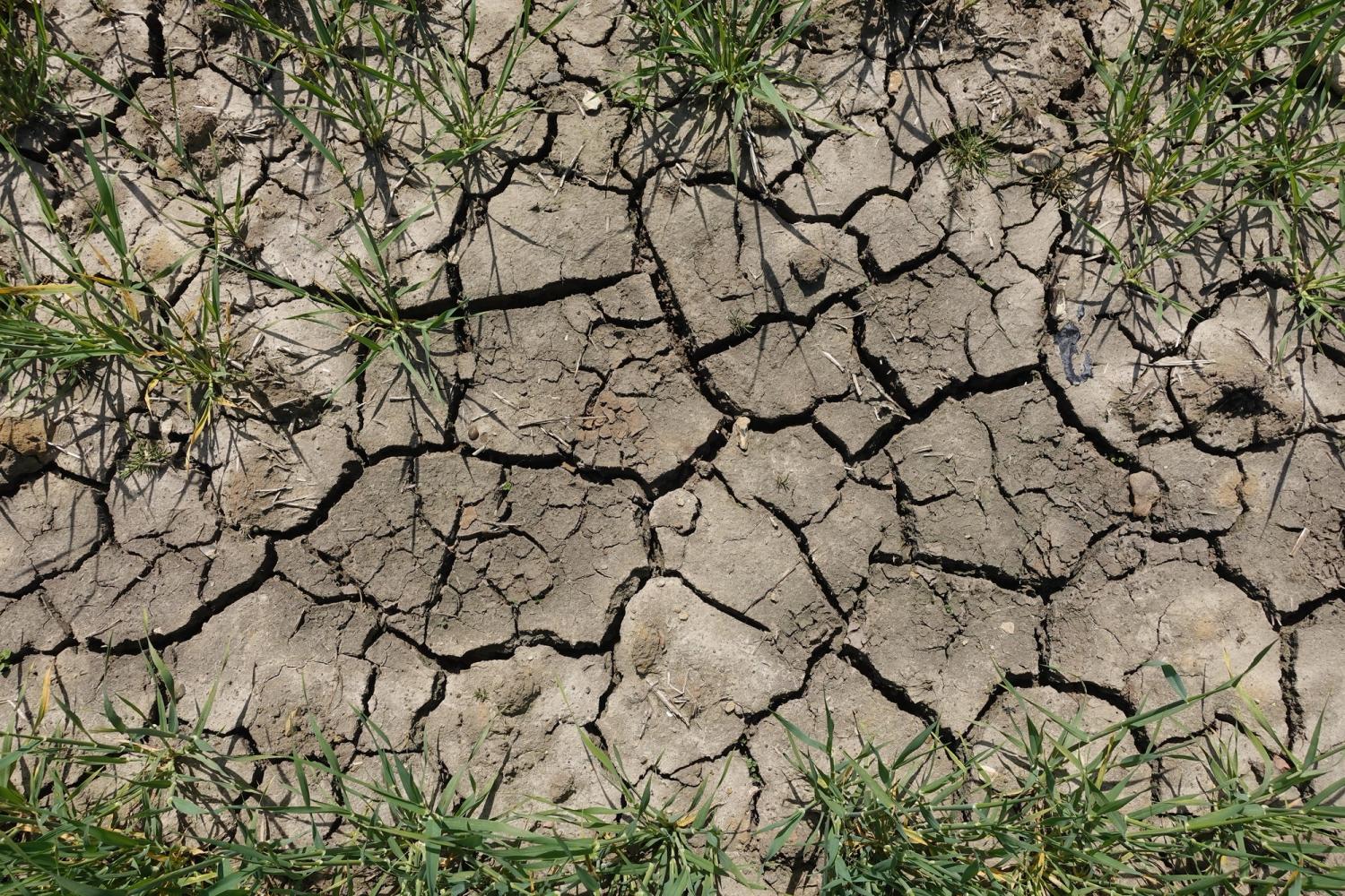 Cracked soil following a period of drought