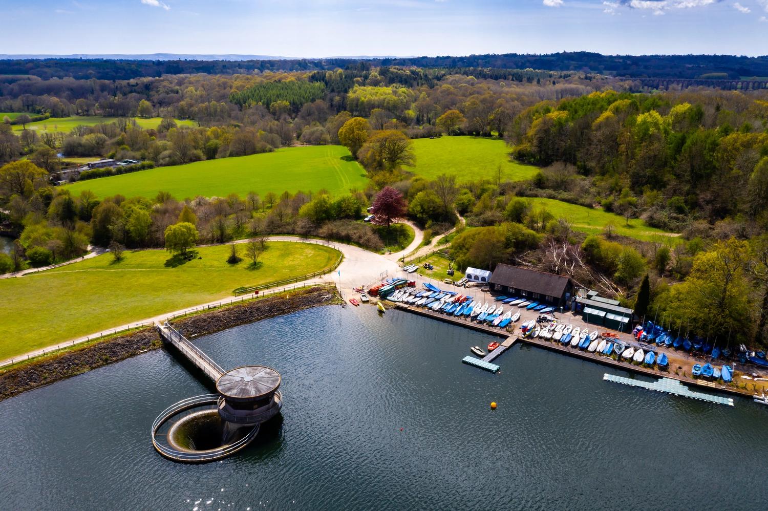 Alt Tag Missing from Image