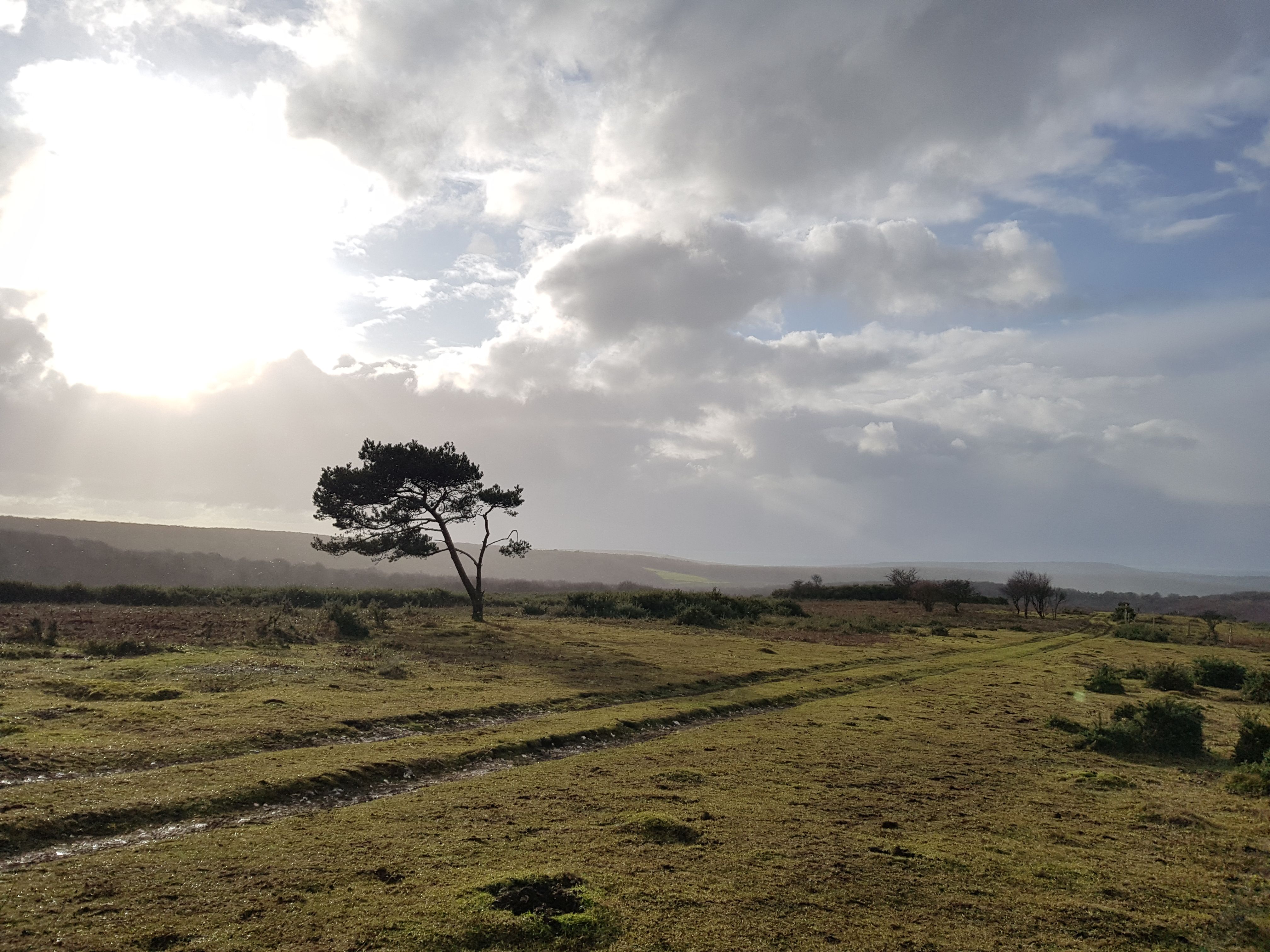 Image taken at Sadlescombe reservoir