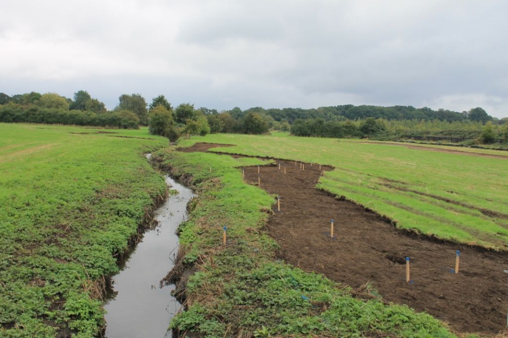 A stream running through a farm