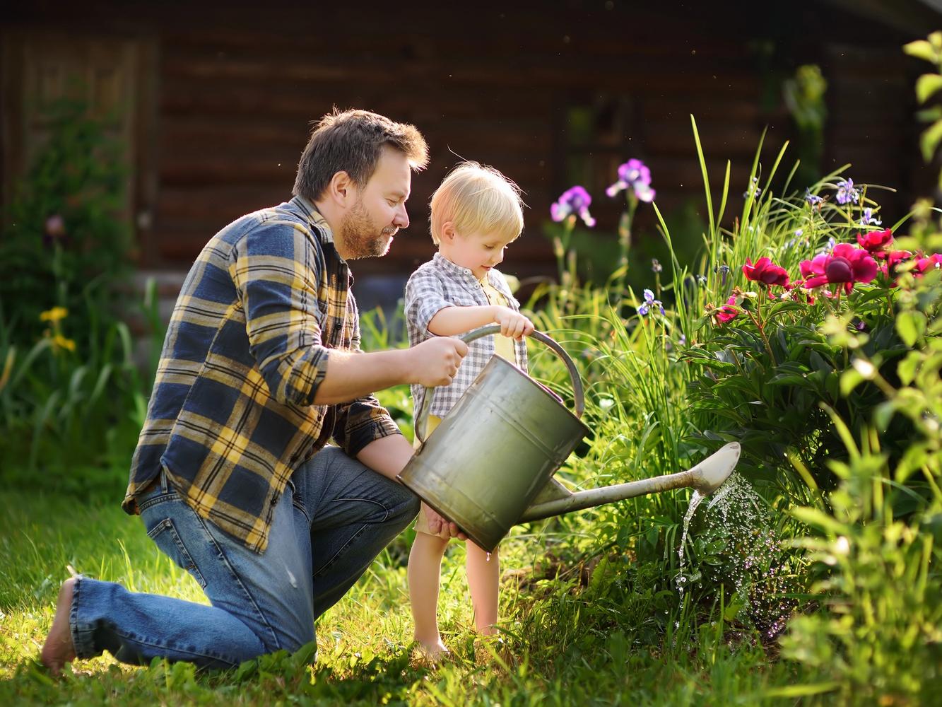 A man and child use a watering can to water plants