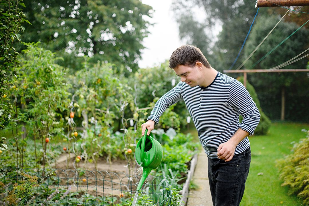 Image of a boy watering an allotment garden