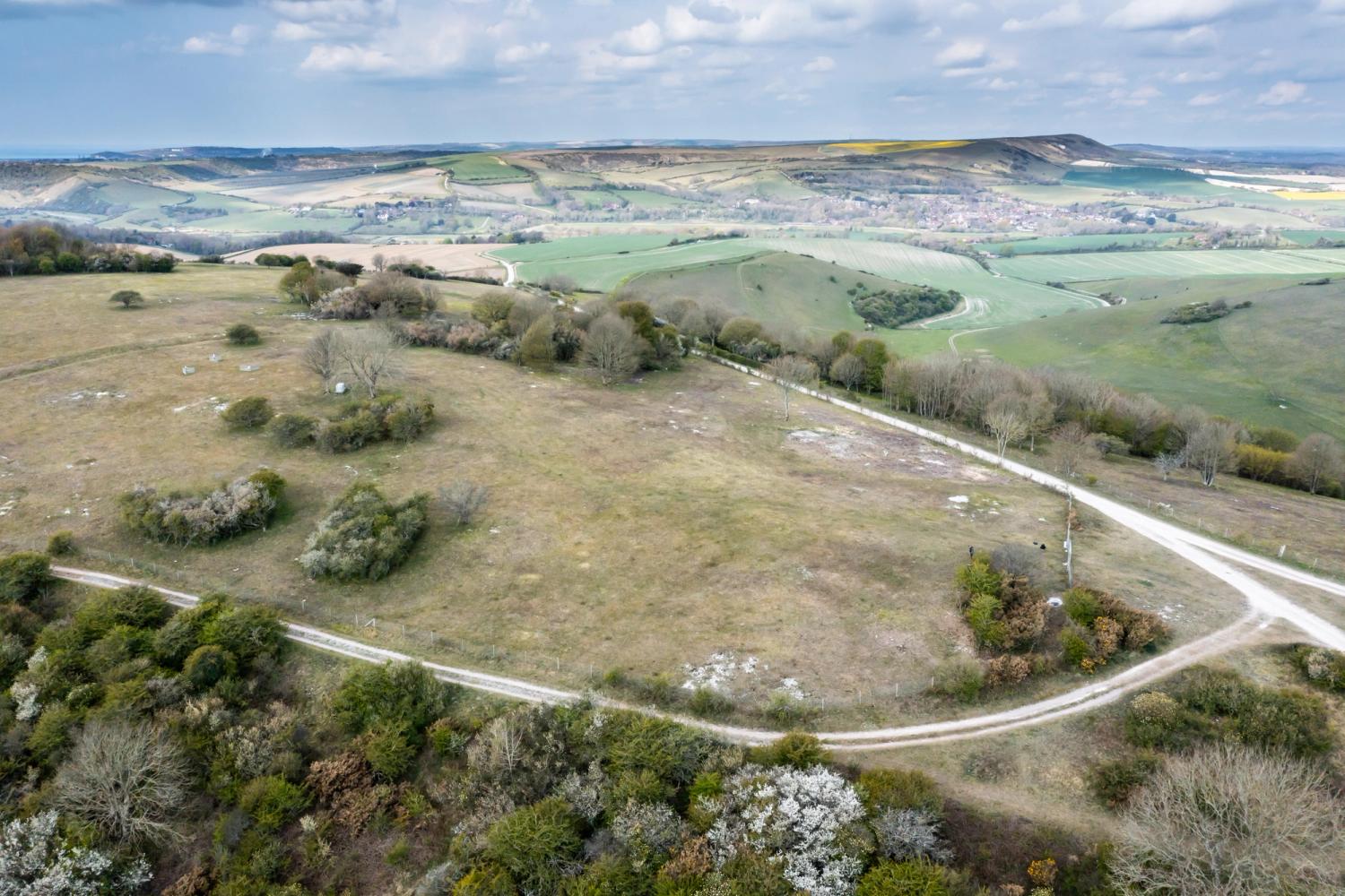 Eagle eye view of the chalk grassling at friston 
