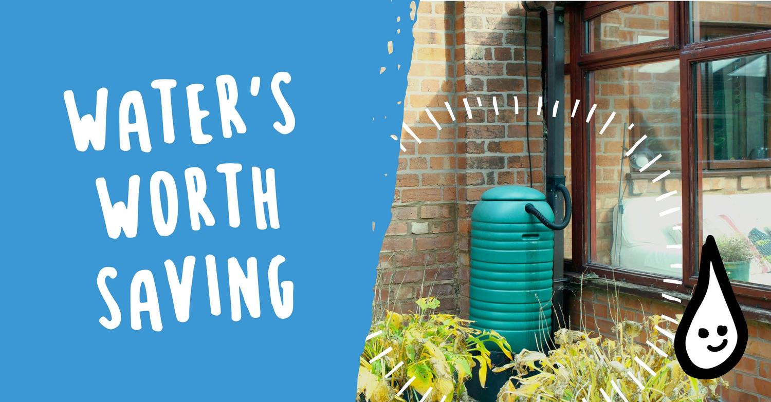 Alt Tag Missing from Image