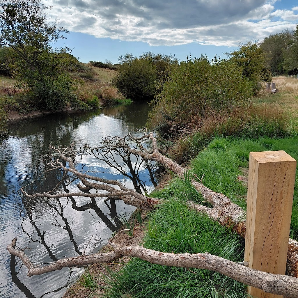 Image of a dead tree held by a wooden post and its branches extending into the water to create fish habitat