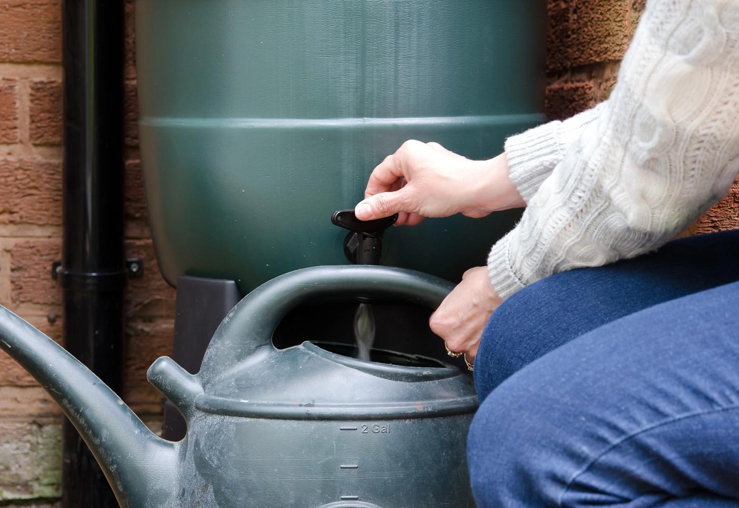 A person filling up a watering can using water stored in a water butt