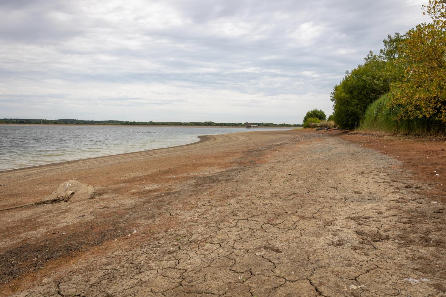 Photograph of dry, cracked ground at Arlington Reservoir, due to prolonged hot weather and little rainfall.