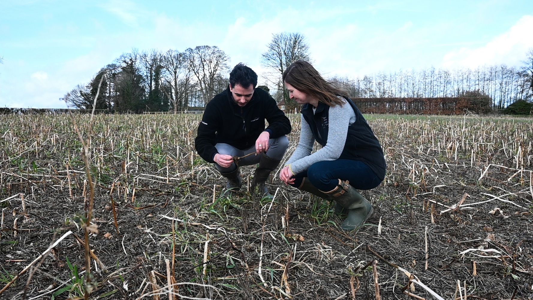 Two agricultural advisors inspecting crops in an arable field