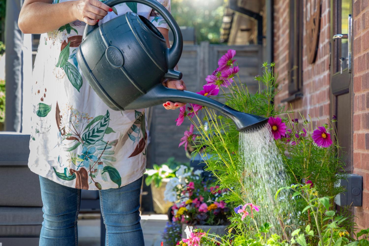 A person watering plants with a watering can