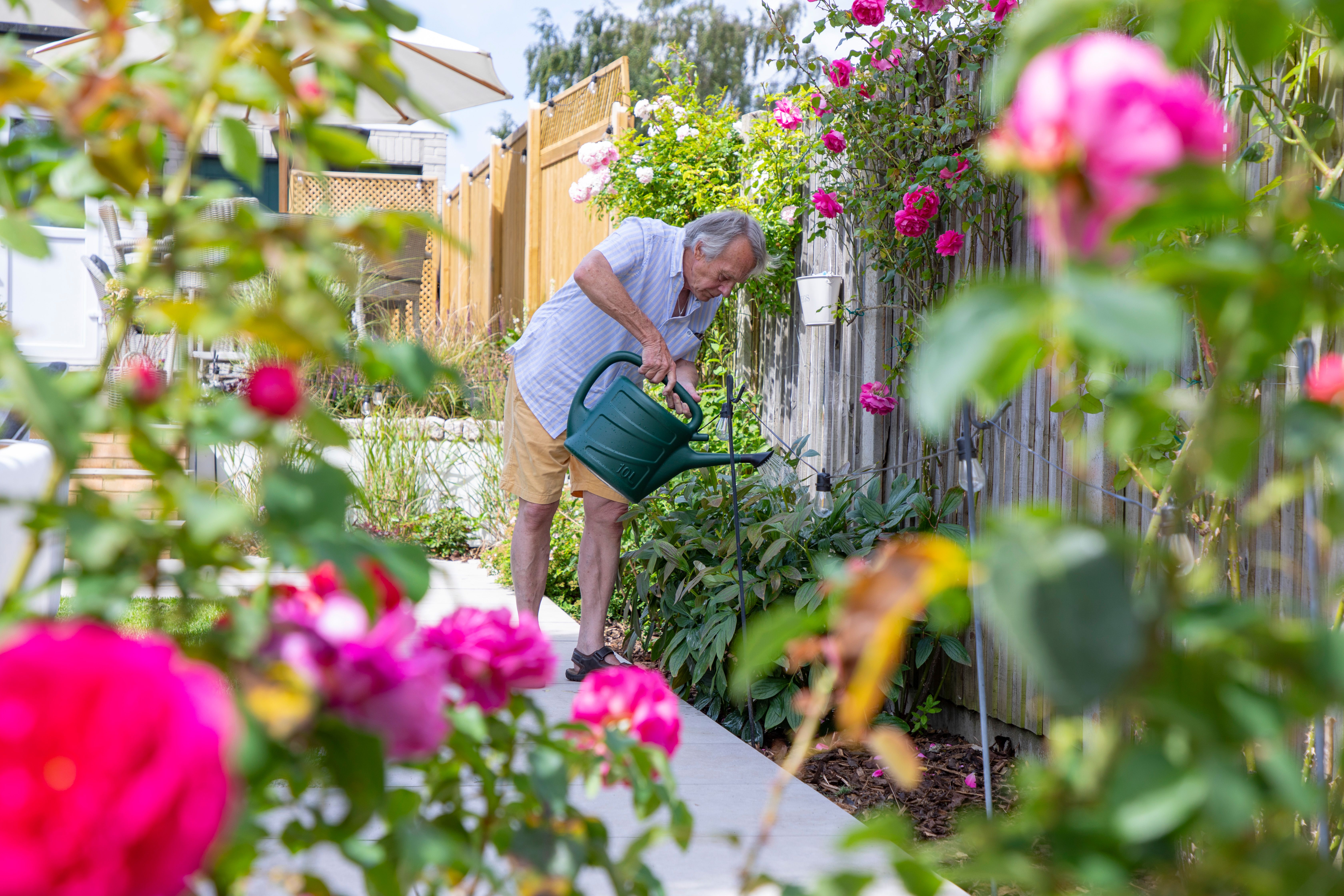 Photo taken of a person using a watering can to water the flowers in the garden