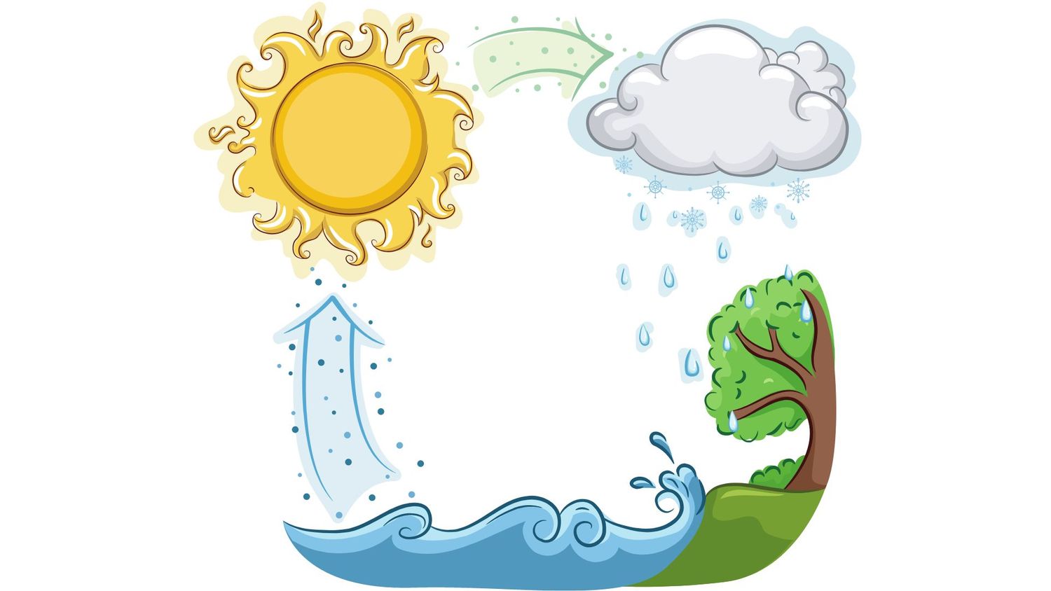 Graphic of the water cycle 
