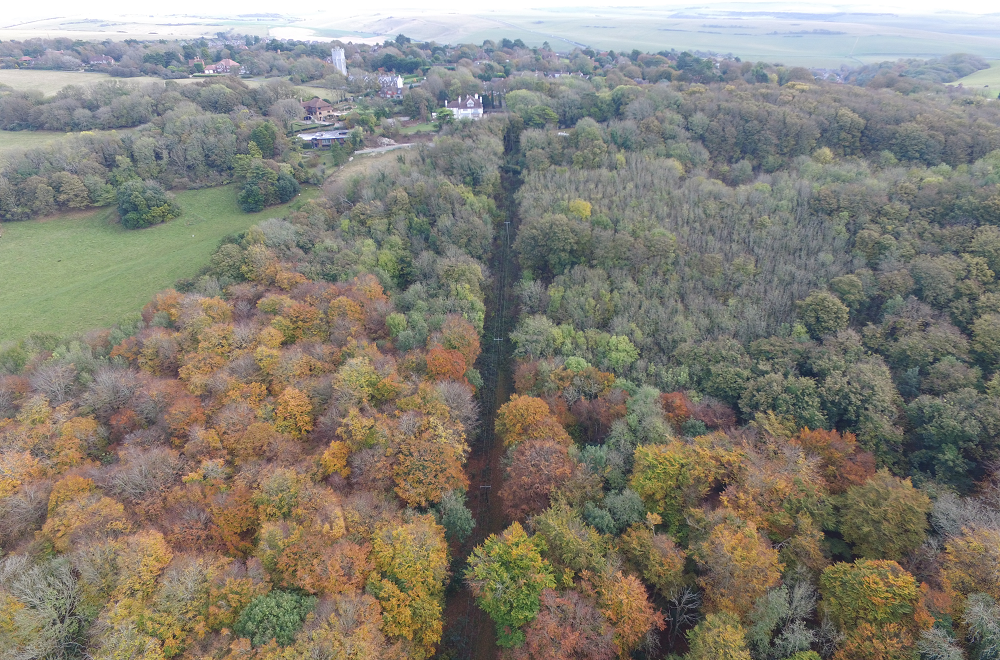 Today, beech woodland surrounds Friston water tower (looking east, 2017)