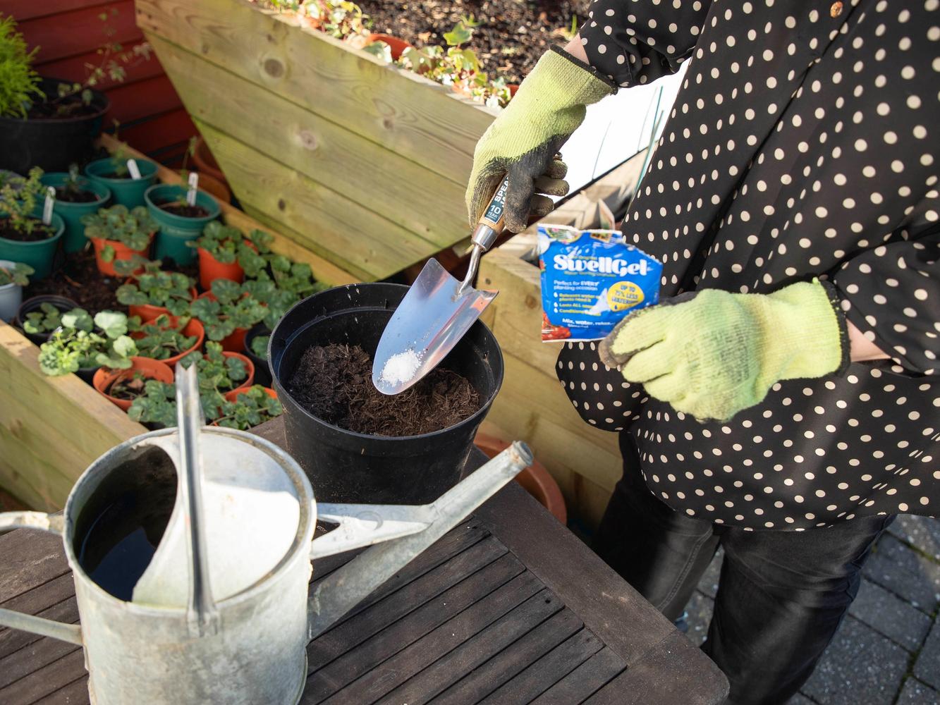 A person planting a pot with soil and a Swell Gel pouch, which reduces the need for watering as often