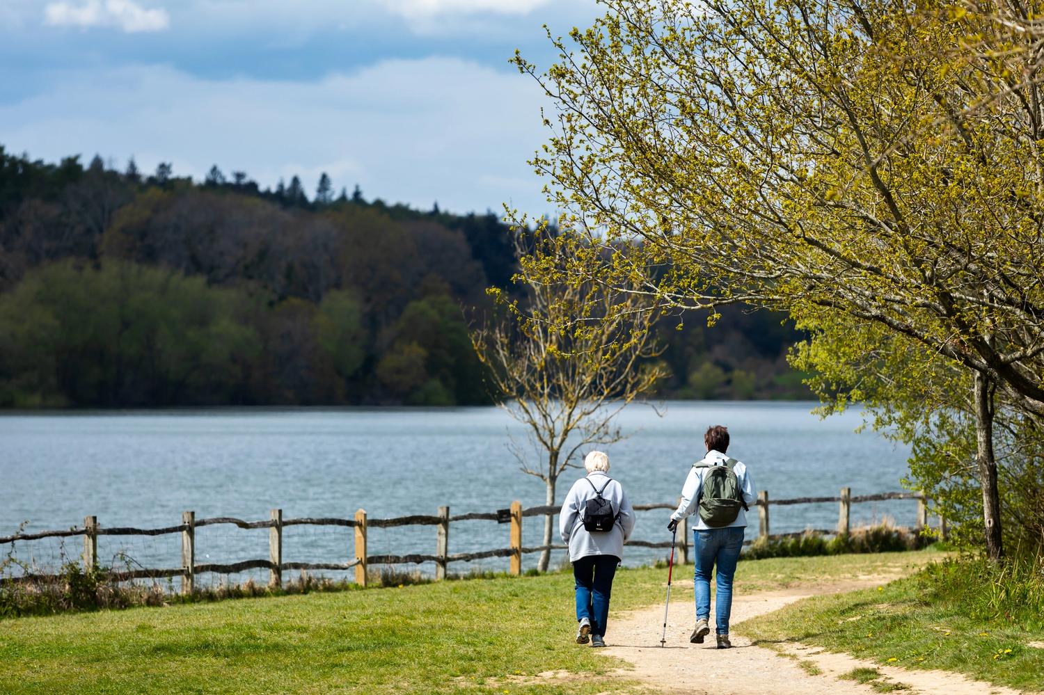 Alt Tag Missing from Image