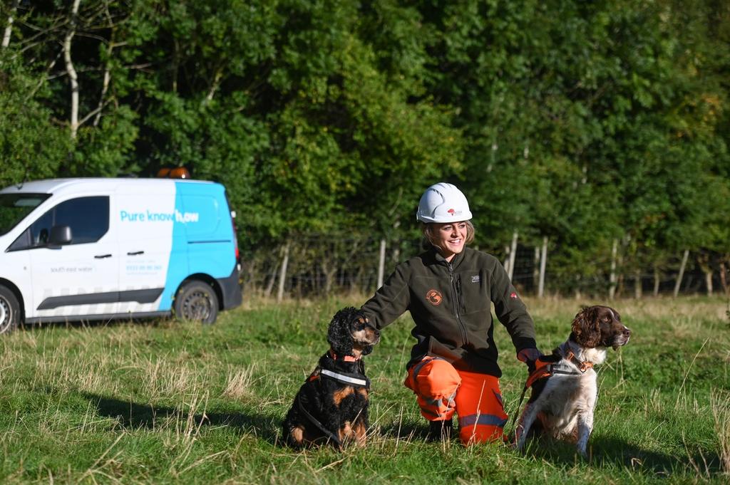 Dogs in a field with a woman in front of a South East Water van