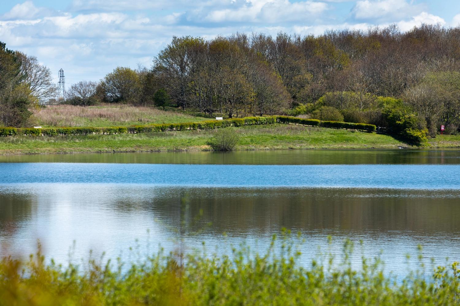 Alt Tag Missing from Image