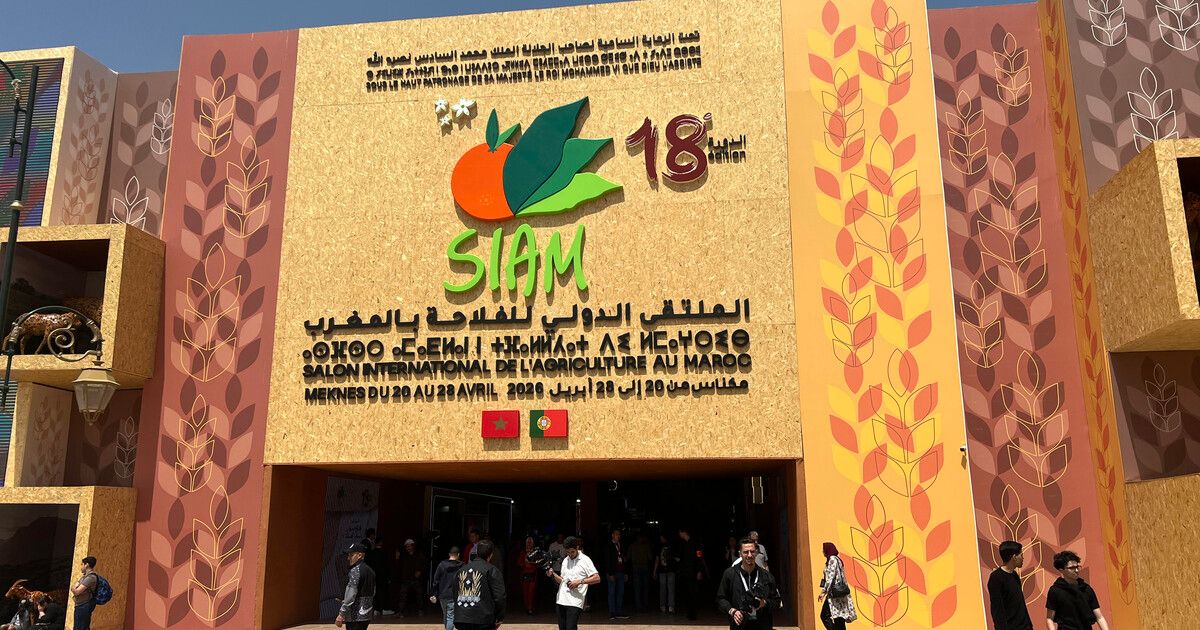 How to Build an Exhibition Stand at SIAM Morocco: The Complete Exhibitor Guide