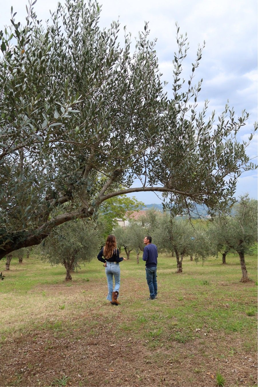 Beatrice Karp: Seeking Truth in the Olive Groves