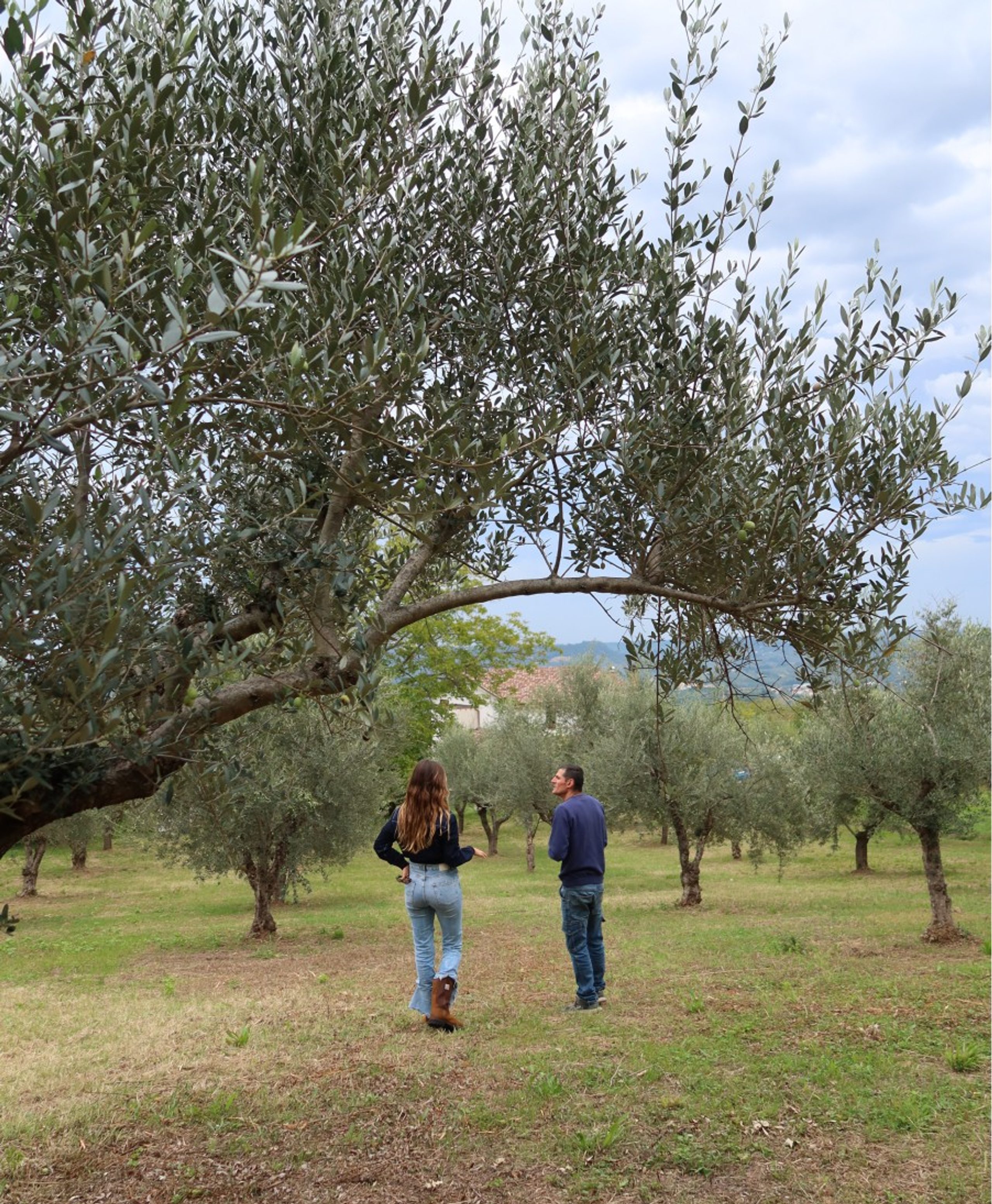 Beatrice Karp: Seeking Truth in the Olive Groves
